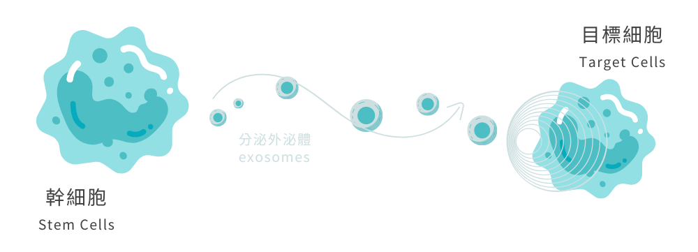 MCT exosome therapy