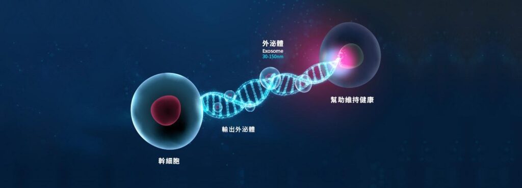 MCT exosome therapy